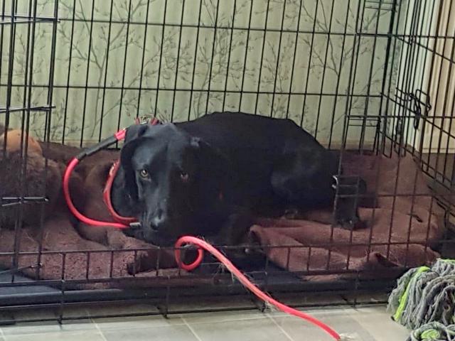 1 1PHOTO 2018 10 08 15 57 45