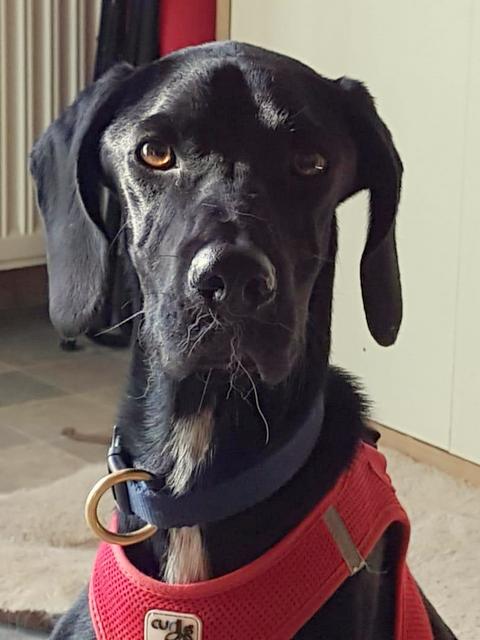 1 PHOTO 2018 10 08 15 57 42