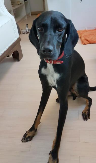 1 8PHOTO 2018 10 13 18 58 52