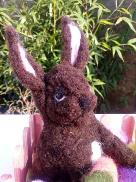 1 IMG 20190224 113556