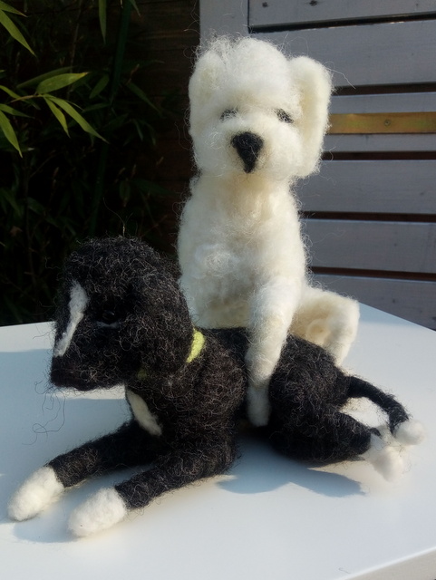 1 IMG 20190224 112955