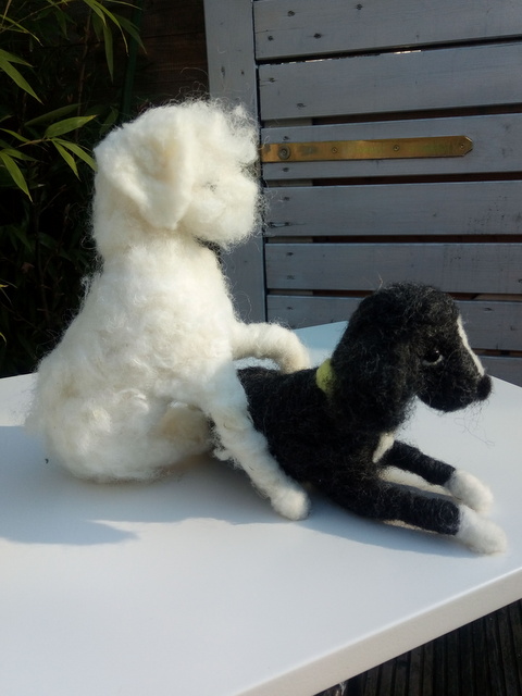 1 IMG 20190224 113015