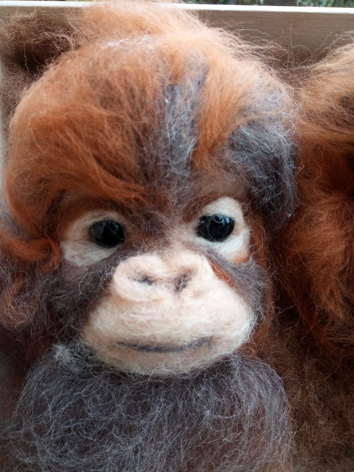 PHOTO 2019 10 10 13 04 37