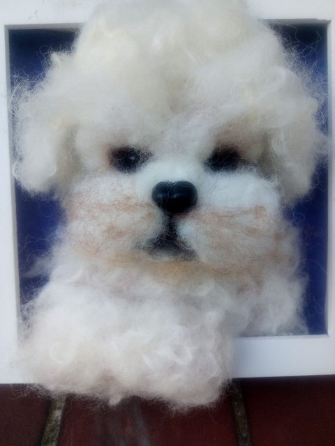 1 PHOTO 2019 10 10 13 04 37