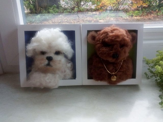 1 PHOTO 2019 11 09 08 22 41