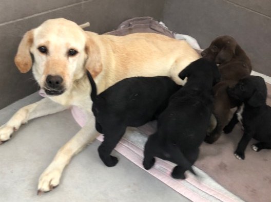 1 78304535 1571353799673344 6108544896325386240 n