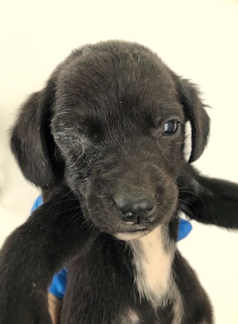 1 78574219 2581344831955138 831840371012009984 n 001