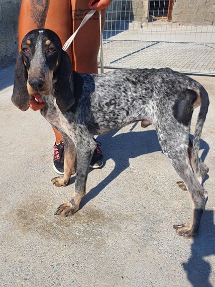 1 76705143 926670374400180 2686185049291751424 n