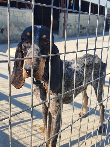 1 78432767 902469136814159 8325562097752604672 n