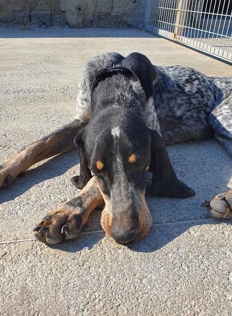 1 78589380 441564993440891 3976789714916081664 n