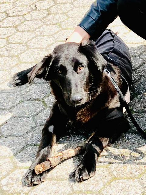 1 3PHOTO 2019 05 25 17 22 39