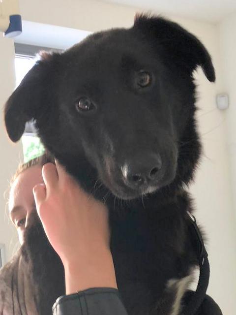 1 PHOTO 2019 05 26 09 48 15