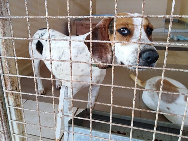 1 1PHOTO 2019 06 02 11 18 01