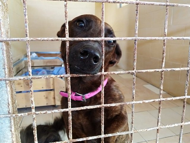 1 2PHOTO 2019 06 02 11 18 04