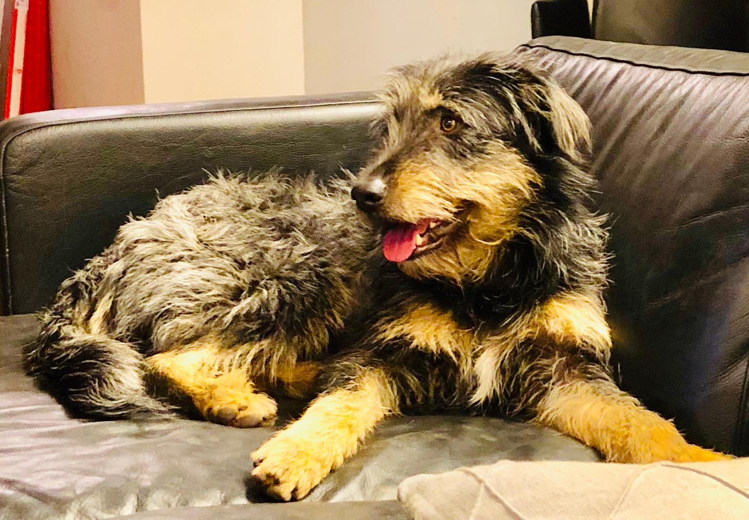 PHOTO 2020 01 25 23 14 49