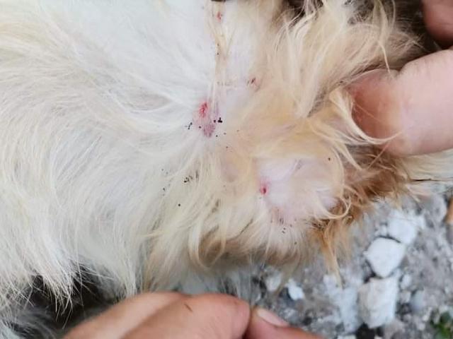 1 IMG 20200704 WA0046