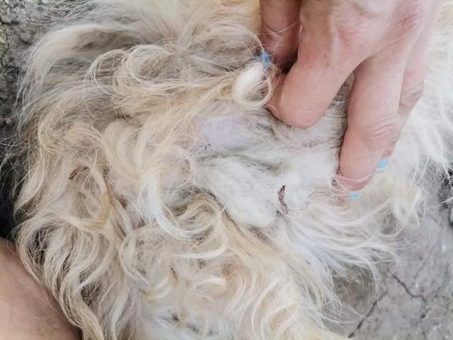 1 IMG 20200704 WA0048