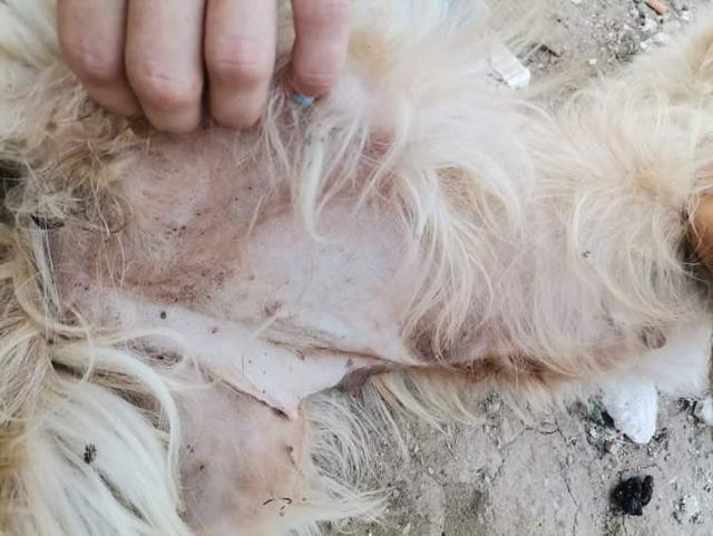 1 IMG 20200704 WA0052