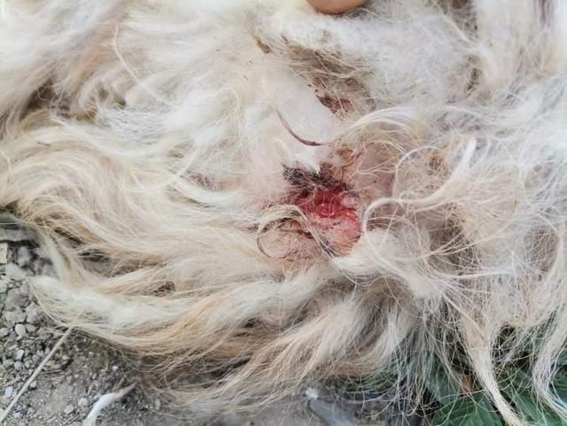 1 IMG 20200704 WA0053