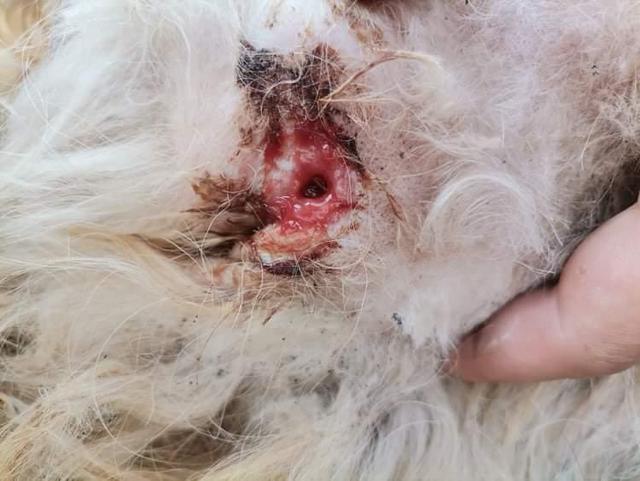 1 IMG 20200704 WA0054