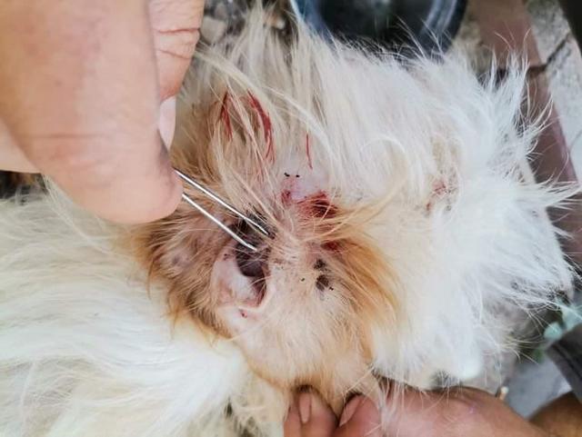 1 IMG 20200704 WA0055