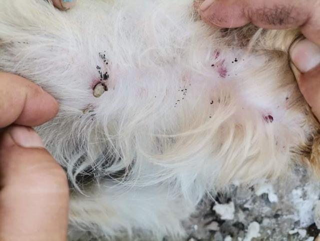 1 IMG 20200704 WA0056