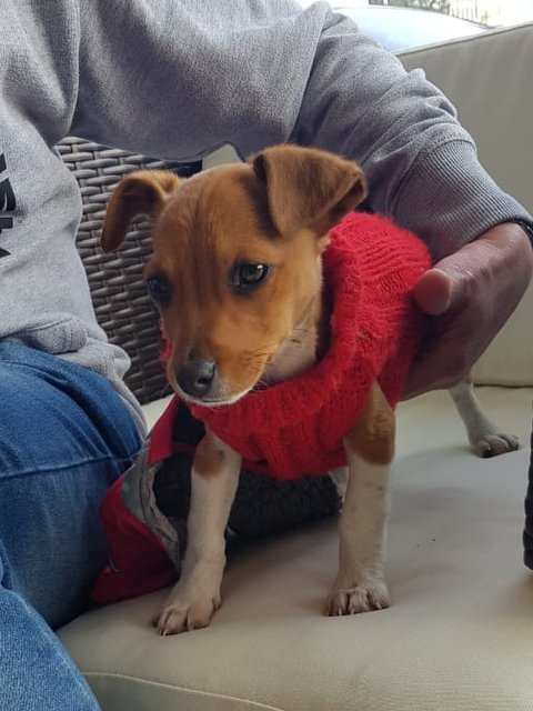 1 PHOTO 2020 02 24 12 53 025