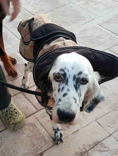 1 PHOTO 2020 01 21 18 01 10