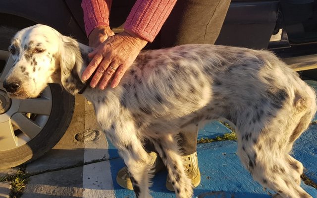 1 PHOTO11 2020 01 21 18 01 16