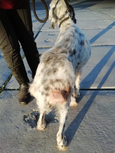 1 PHOTO3 2020 01 21 18 00 22