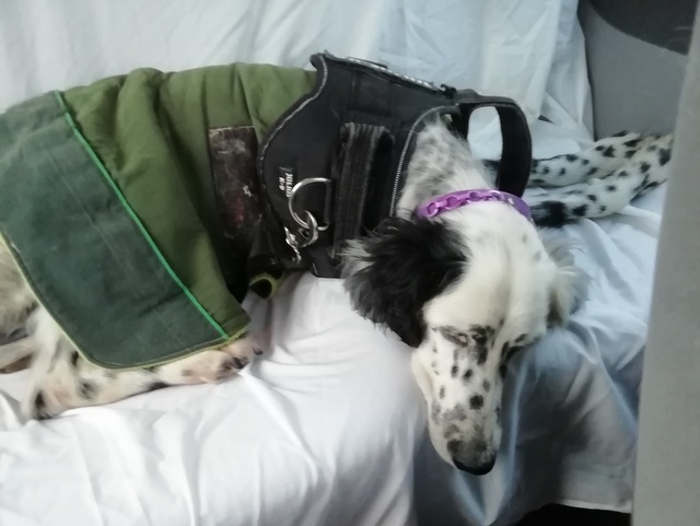 1 IMG 20200204 165916