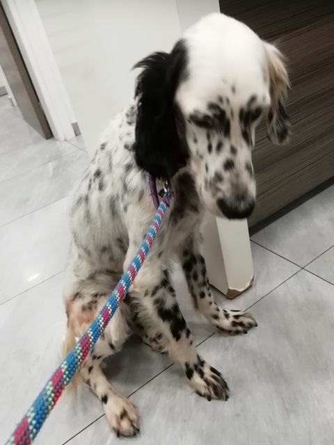 1 IMG 20200204 171251