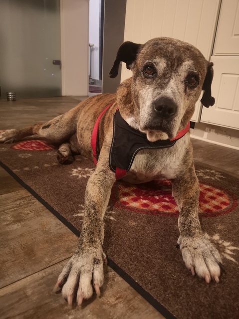 1 IMG 20201008 191133