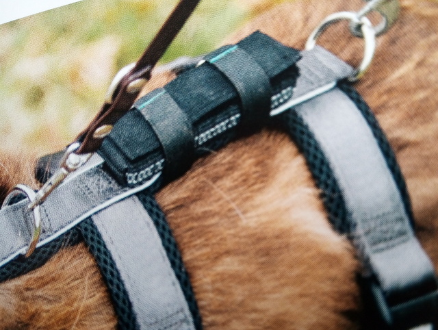 1 IMG 20200401 171126