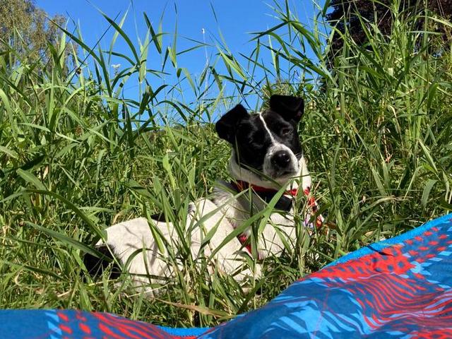 1 1PHOTO 2020 08 08 17 34 42