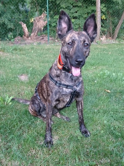 1 2PHOTO 2020 08 06 22 28 56