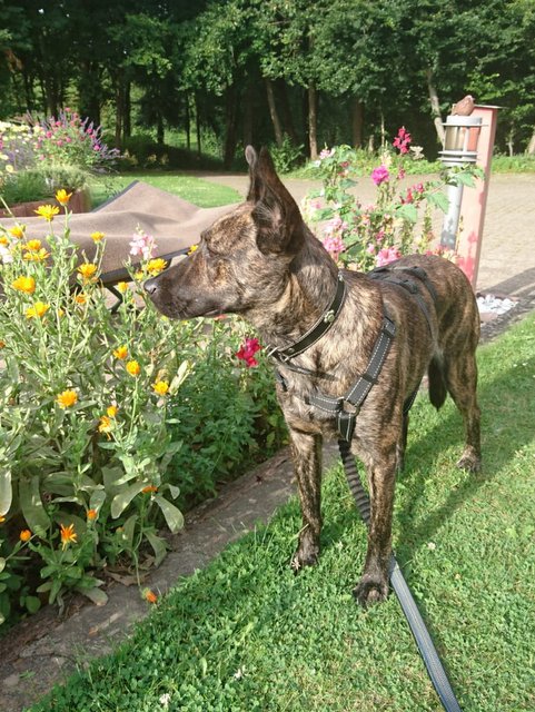 1 3PHOTO 2020 08 06 22 28 56