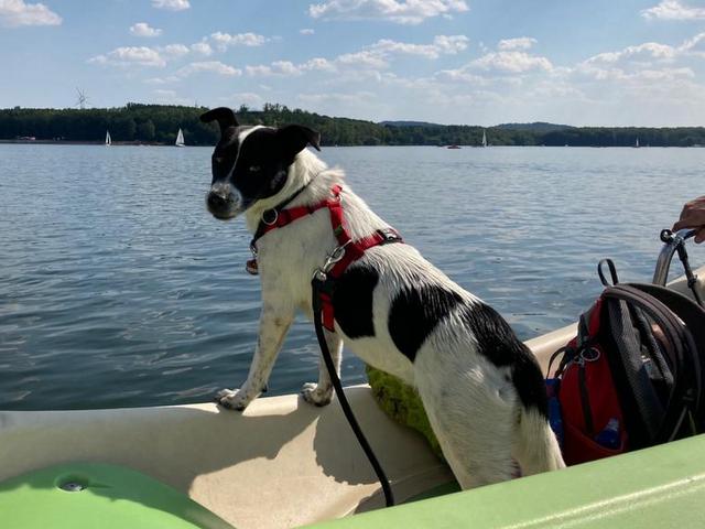 1 3PHOTO 2020 08 08 17 34 43