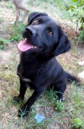 1 IMG 20200801 WA0001