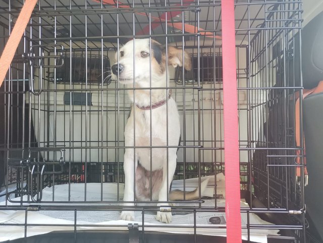 1 IMG 20200801 WA0002