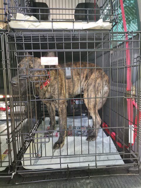 1 IMG 20200801 WA0006