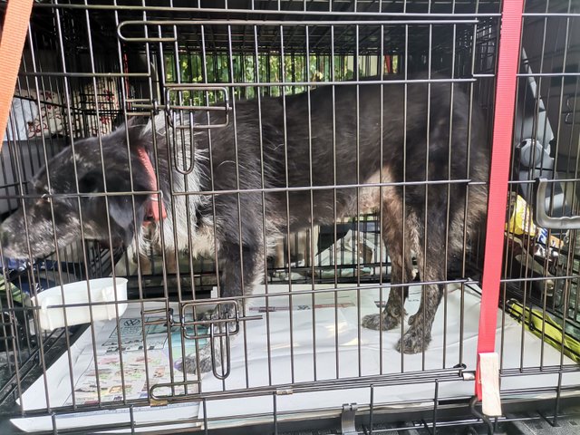 1 IMG 20200801 WA0007