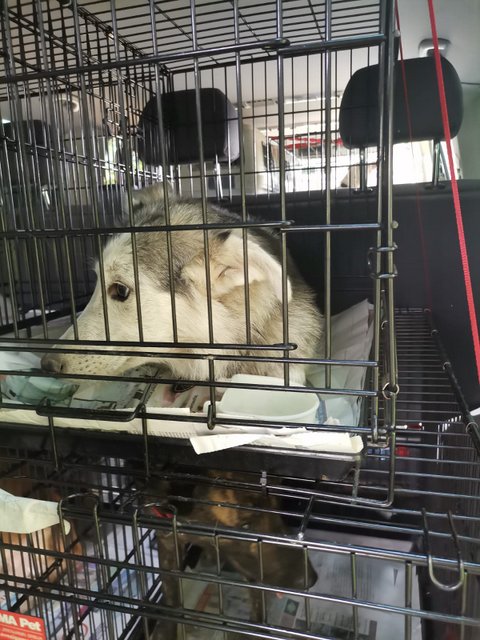 1 IMG 20200801 WA0008