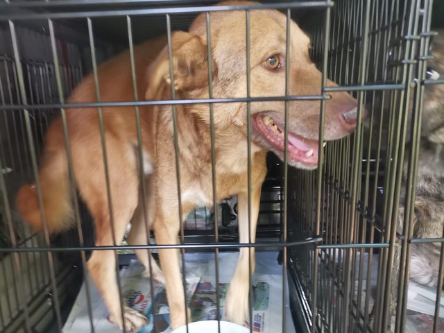 1 IMG 20200801 WA0009 001