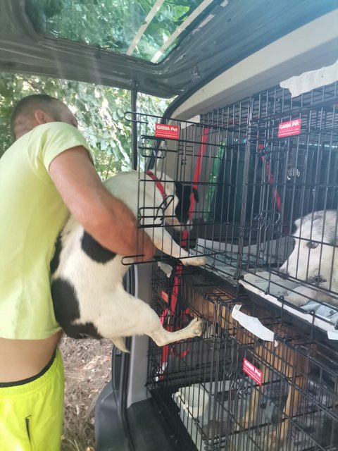 1 IMG 20200801 WA0010