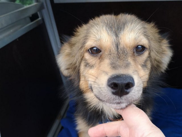 1 IMG 20200802 WA0016 001