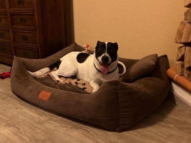 1 IMG 20200803 WA0000