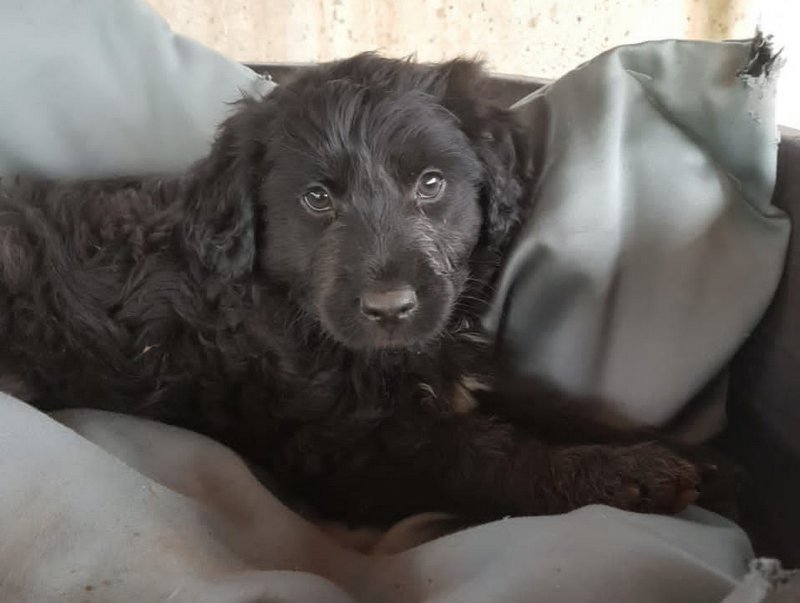 1 PHOTO 2020 12 15 10 21 31