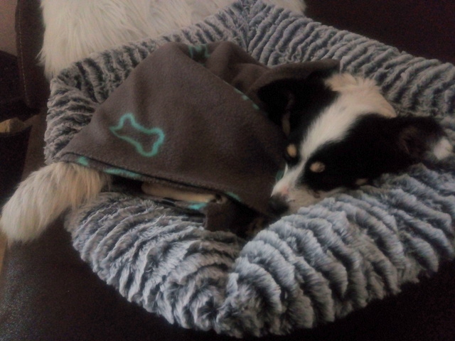 1 IMG 20200209 112622