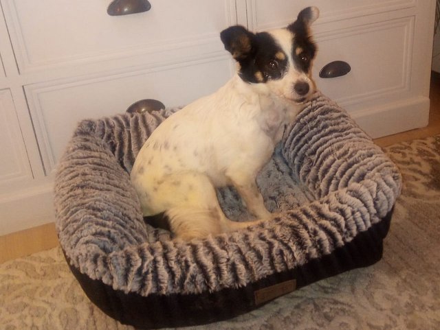 1 PHOTO 2020 02 13 18 14 29